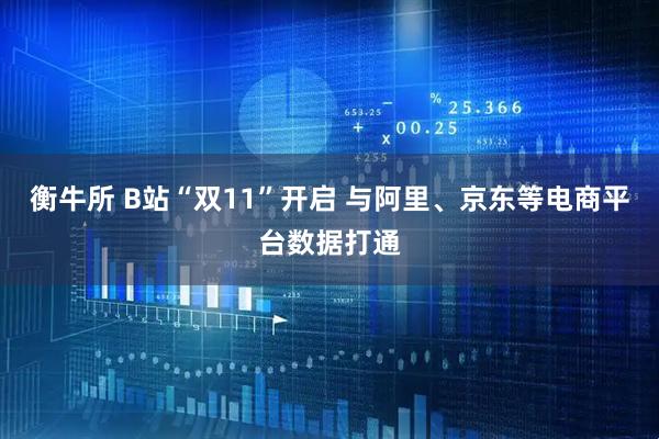 衡牛所 B站“双11”开启 与阿里、京东等电商平台数据打通