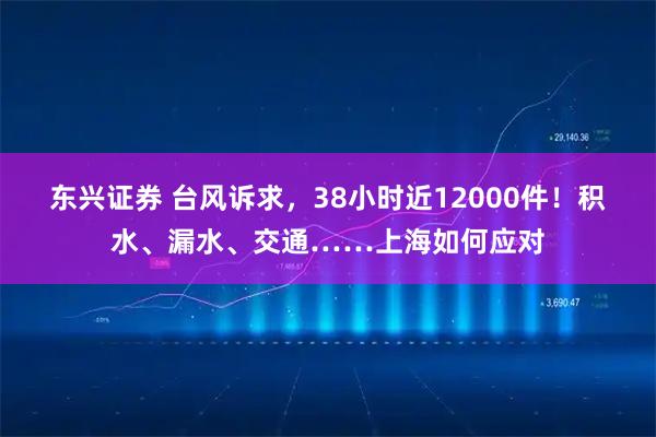 东兴证券 台风诉求,38小时近12000件!积水、漏水、交通……上海如何应对