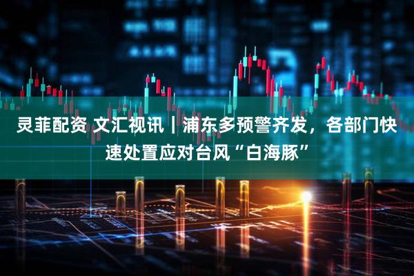 灵菲配资 文汇视讯｜浦东多预警齐发，各部门快速处置应对台风“白海豚”